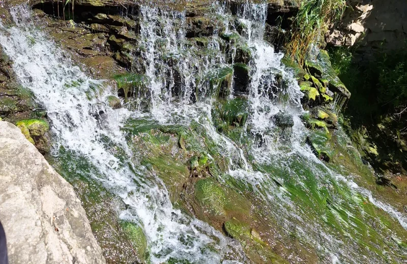 Water flowing over rocks in a woodland stream