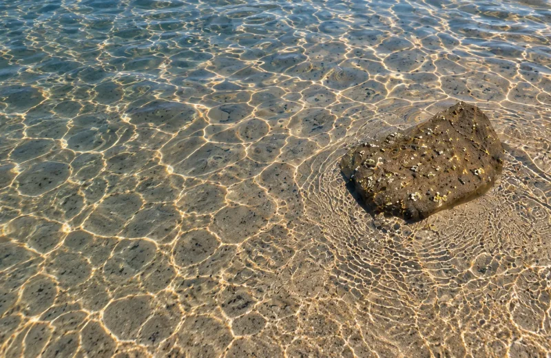 Sunlit ripples around a stone in clear shallow water